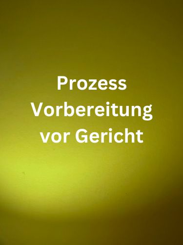 Prozessvorbereitung vor Gericht